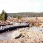 Truckee, CA 1997