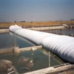 Yolo County, CA 2000