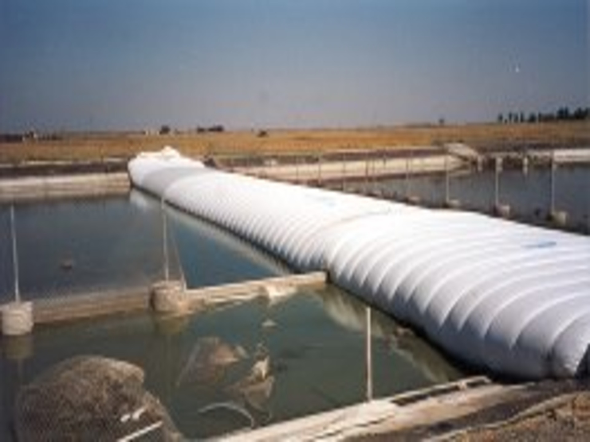 Yolo County, CA 2000