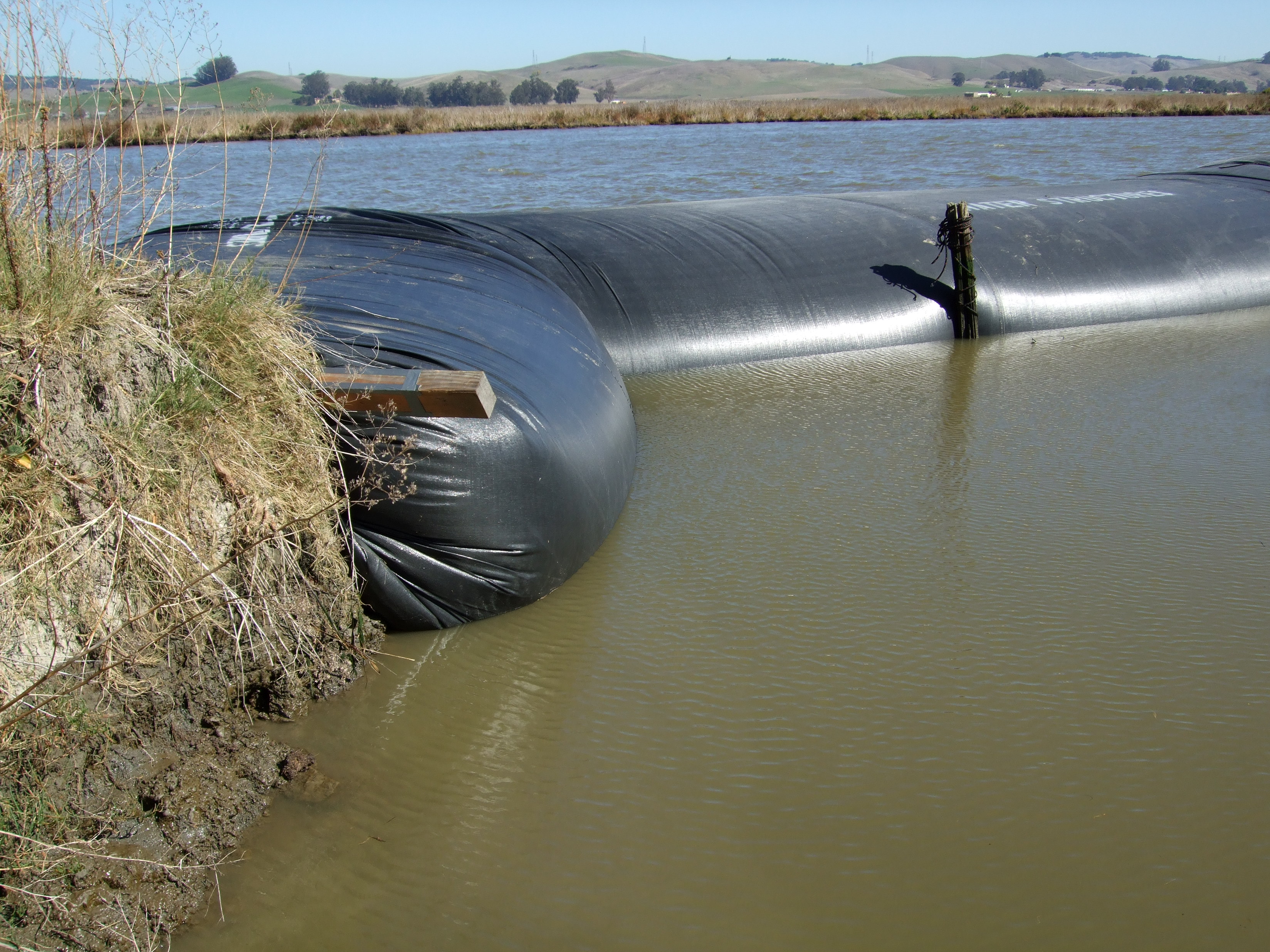 Petaluma, CA 2007
