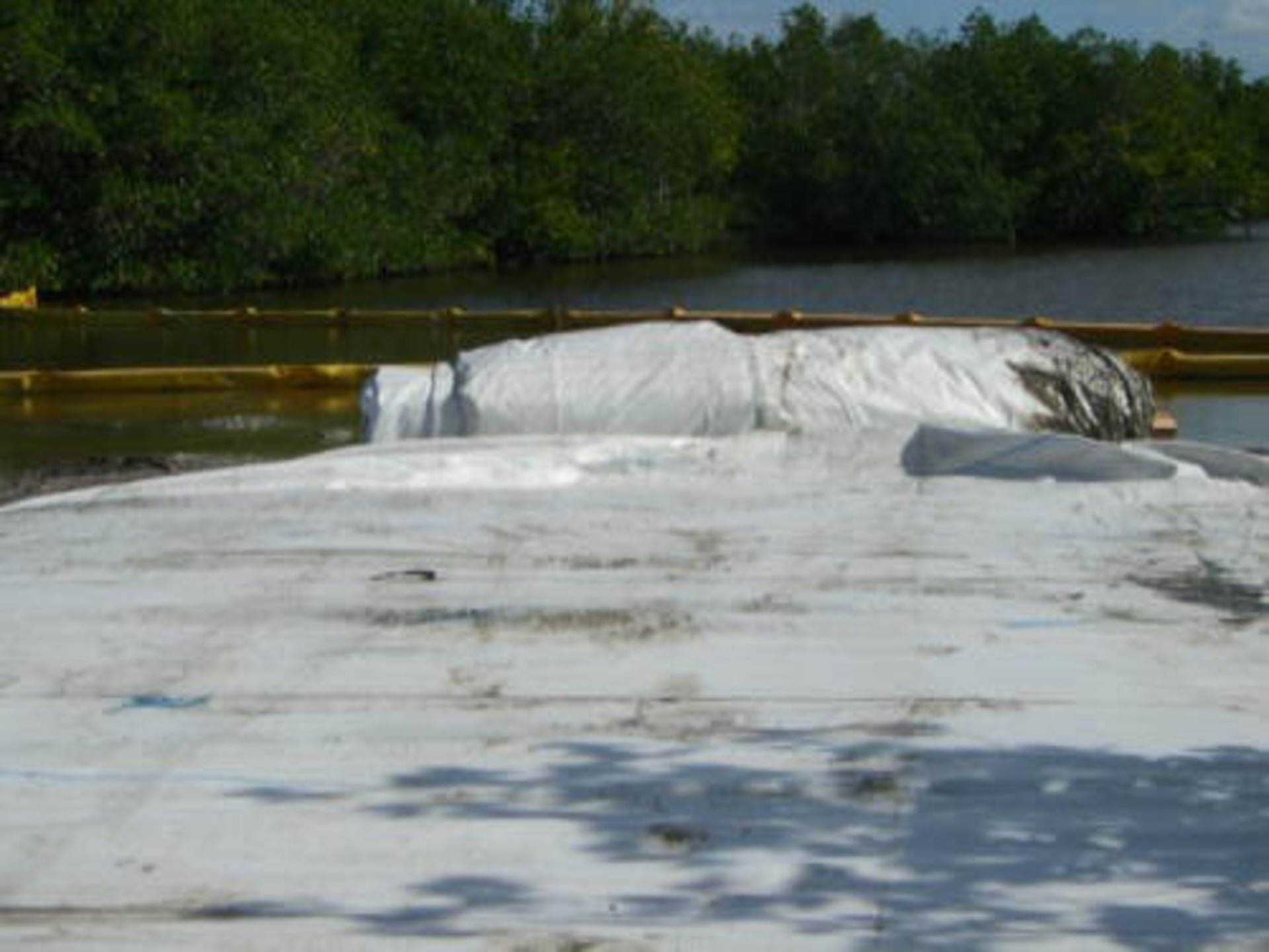 Port Saint Lucie, FL 2006
