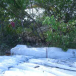 Port Saint Lucie, FL 2006