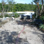 Port Saint Lucie, FL 2006