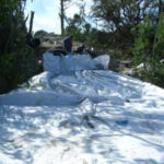 Port Saint Lucie, FL 2006