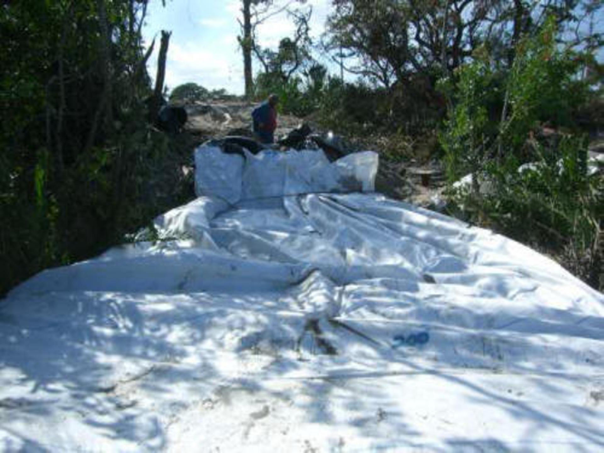 Port Saint Lucie, FL 2006