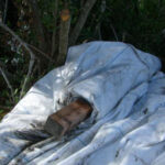 Port Saint Lucie, FL 2006