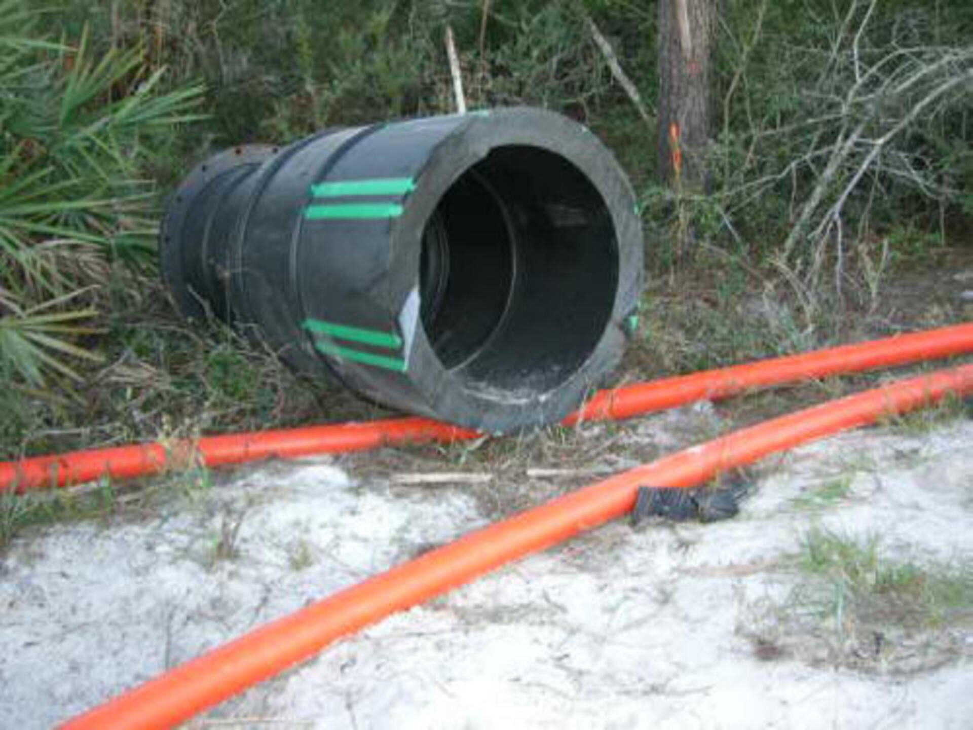 Port Saint Lucie, FL 2006