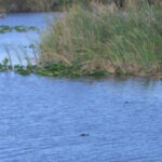 Port Saint Lucie, FL 2006
