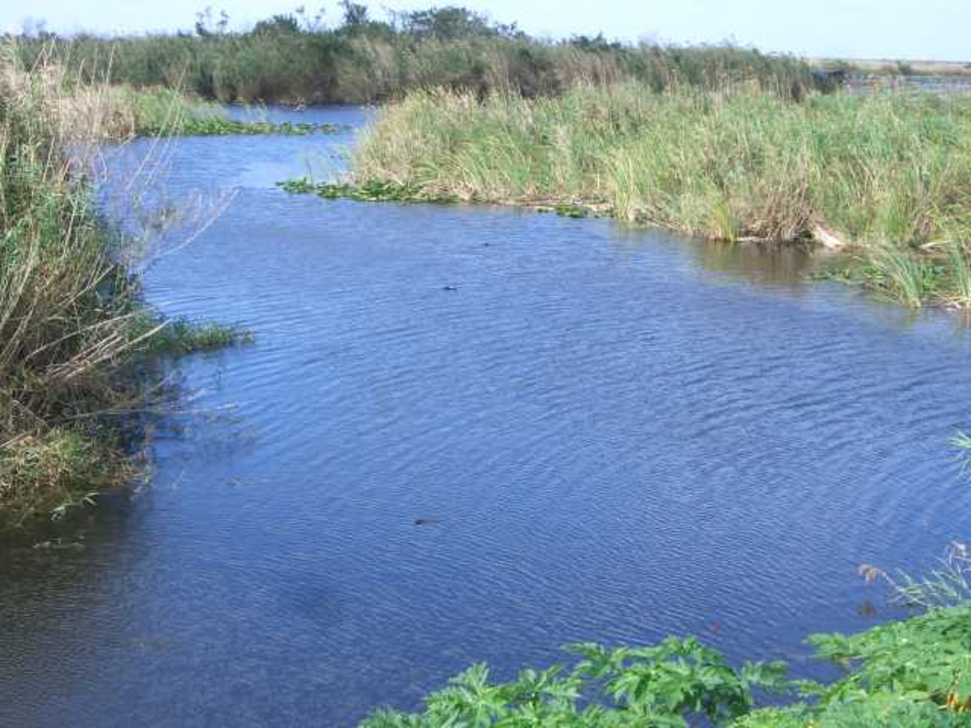 Port Saint Lucie, FL 2006