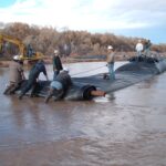Albuquerque, NM 2005