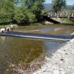 Siskiyou County, CA 2002