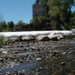 Reno, NV 2002