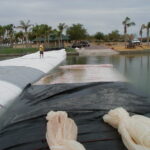 Goodyear, AZ 2003