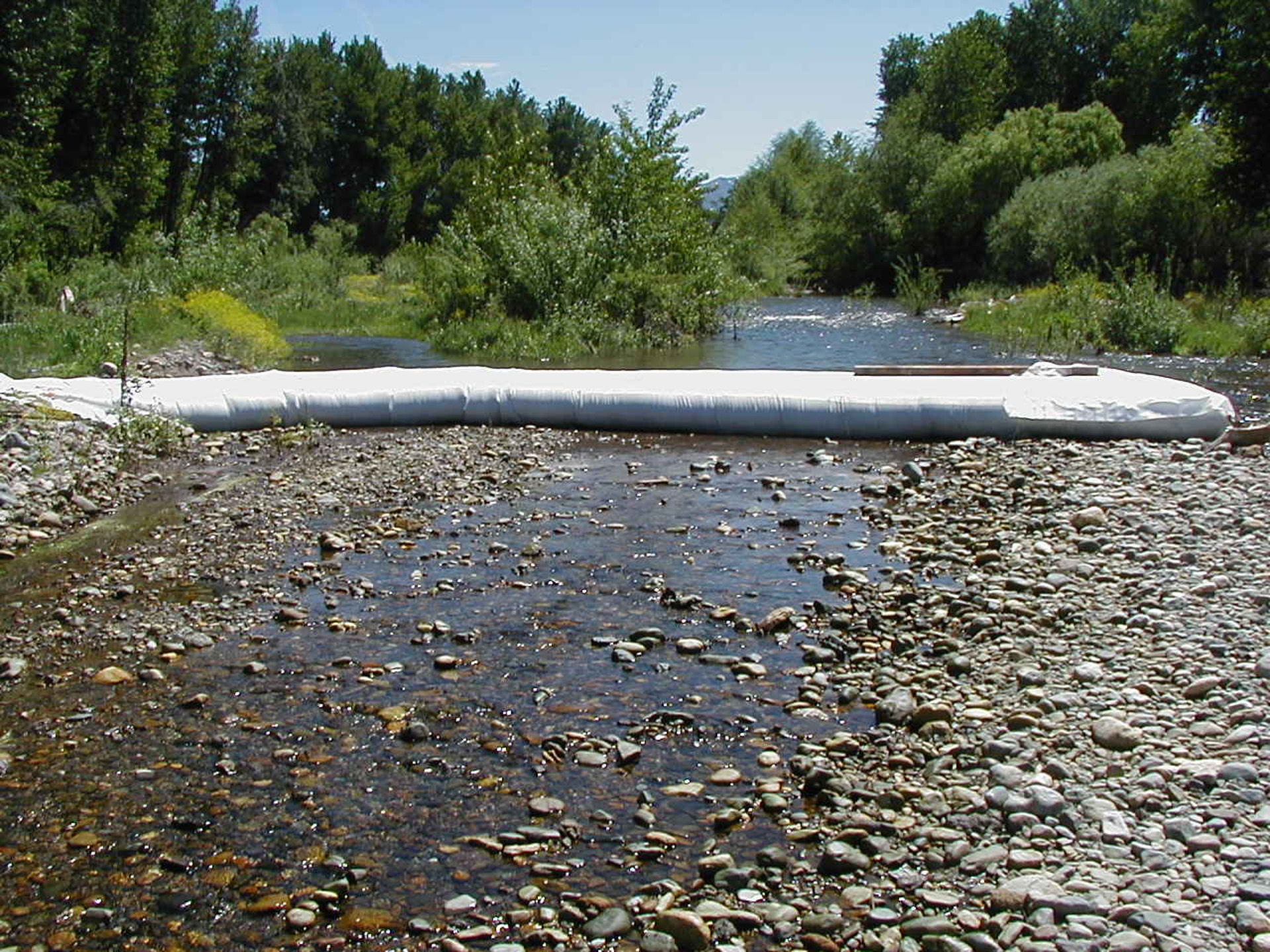 Siskiyou County, CA 2002