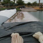 Goodyear, AZ 2003