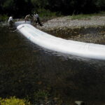 Siskiyou County, CA 2002