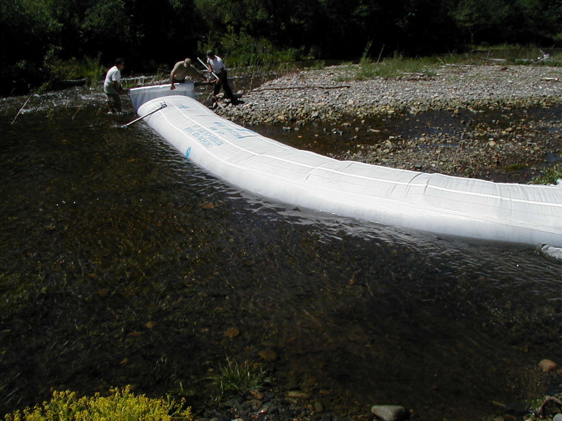 Siskiyou County, CA 2002