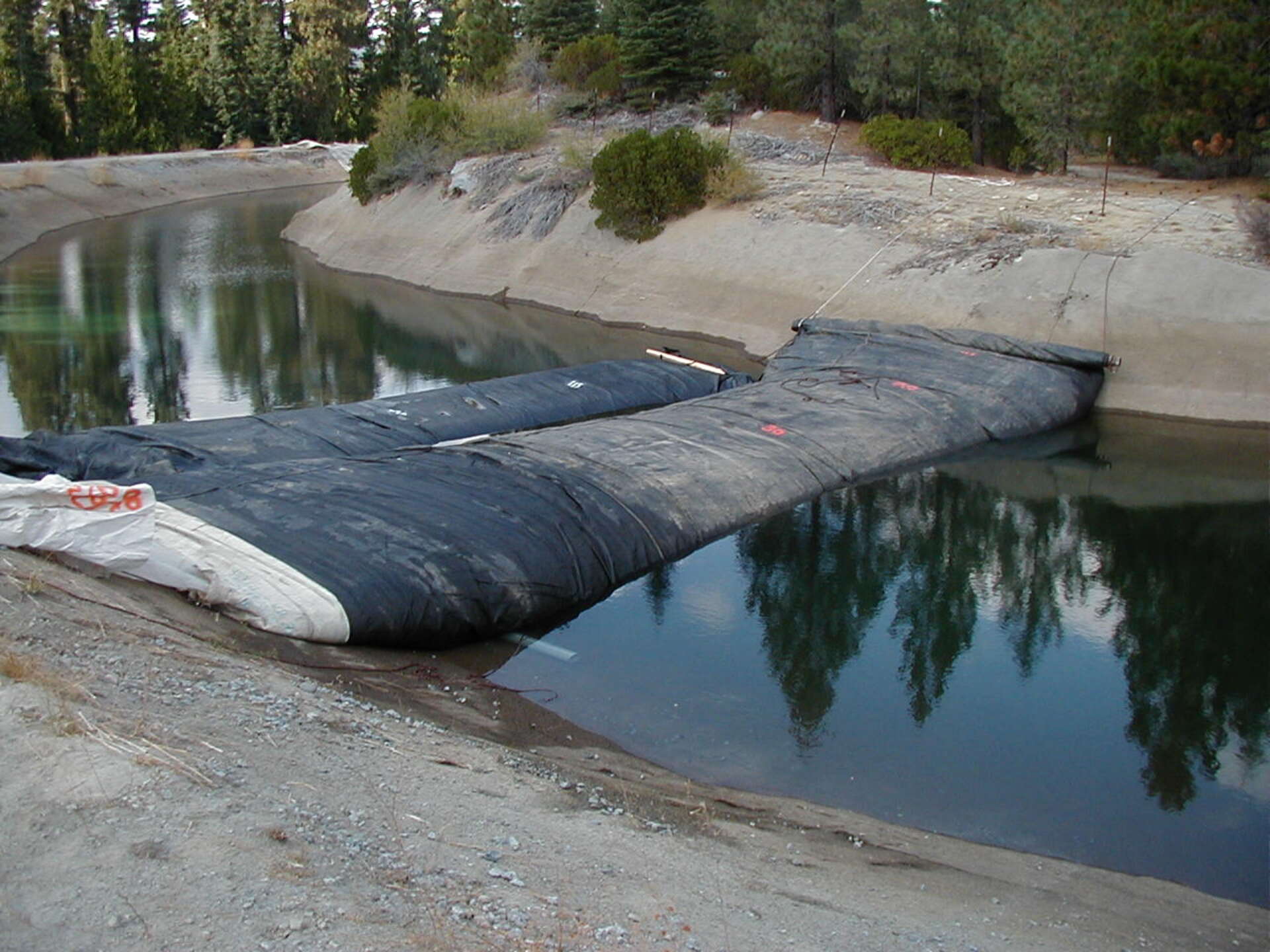 Sierra-Nevada Mountains, CA 2004