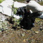 Siskiyou County, CA 2002
