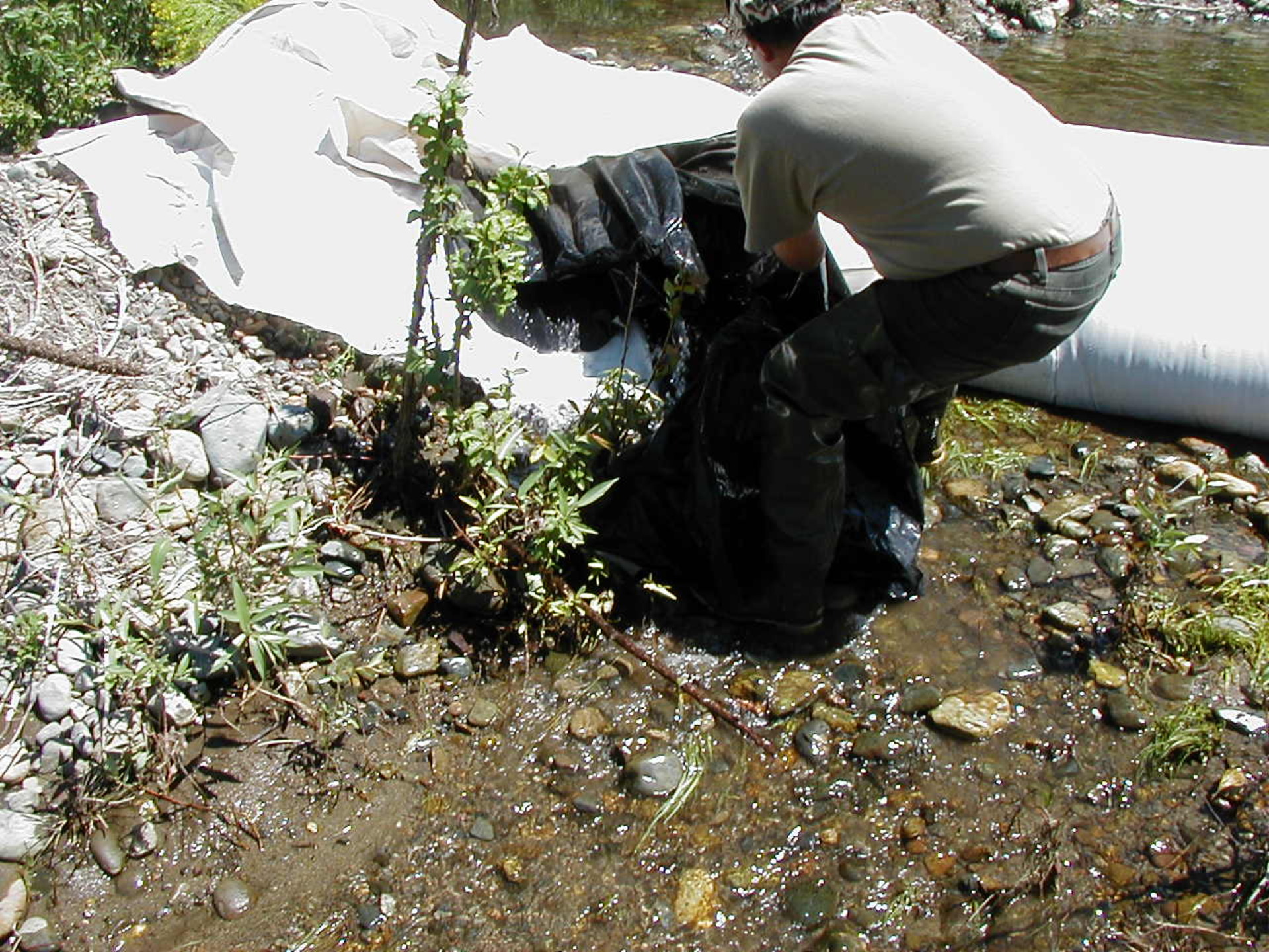 Siskiyou County, CA 2002