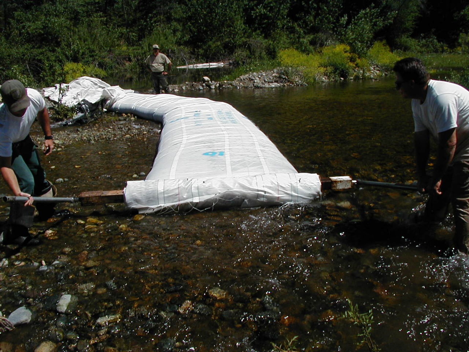 Siskiyou County, CA 2002