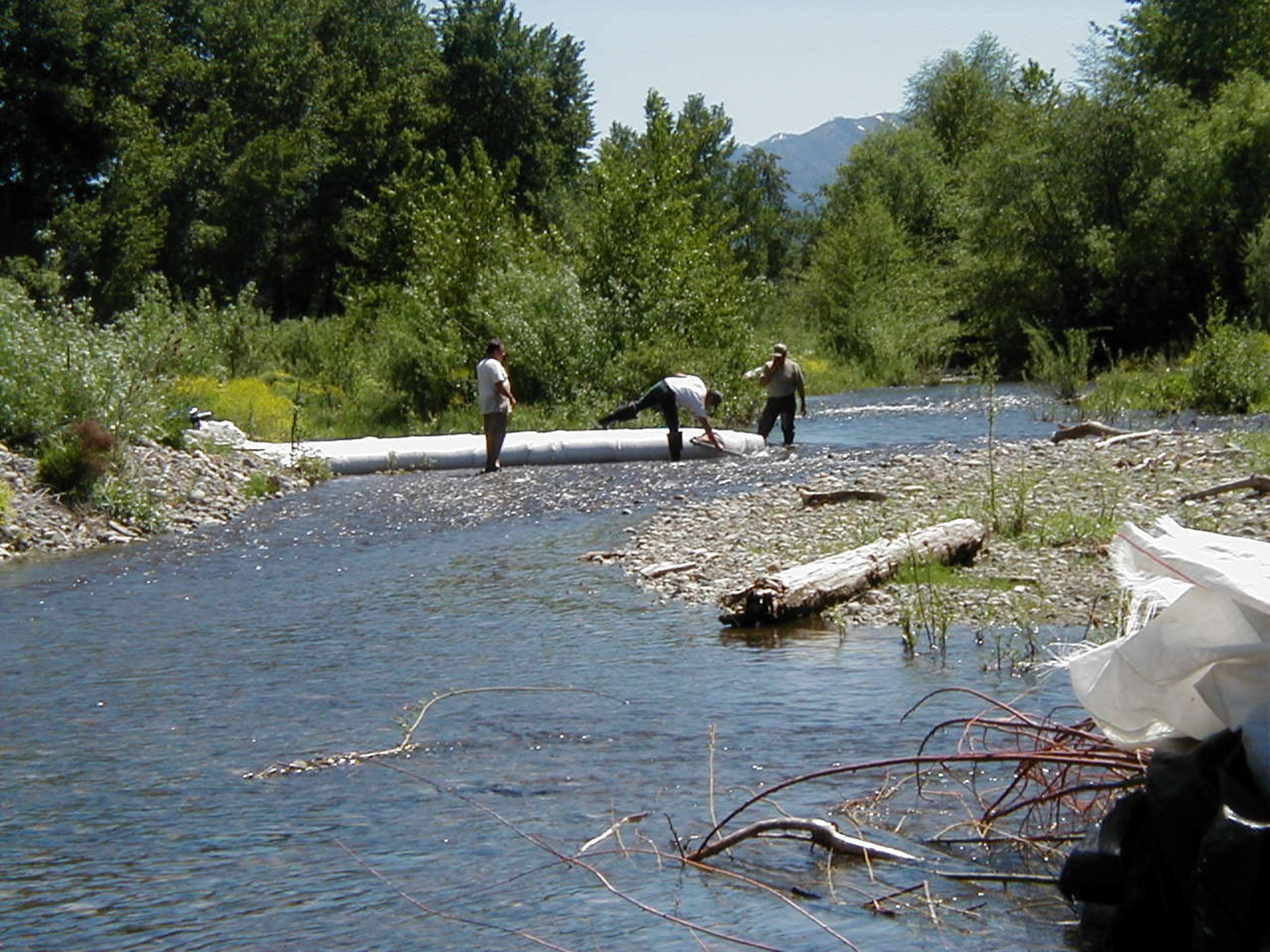 Siskiyou County, CA 2002