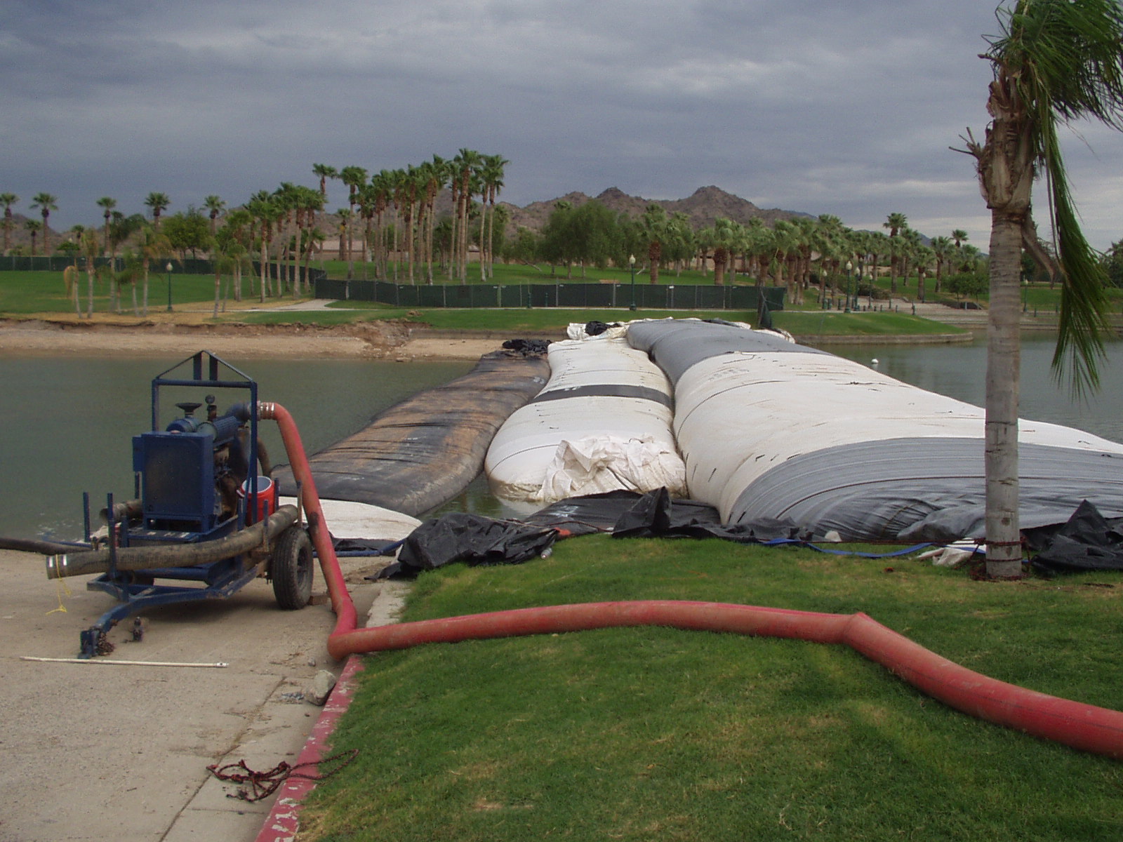 Goodyear, AZ 2003