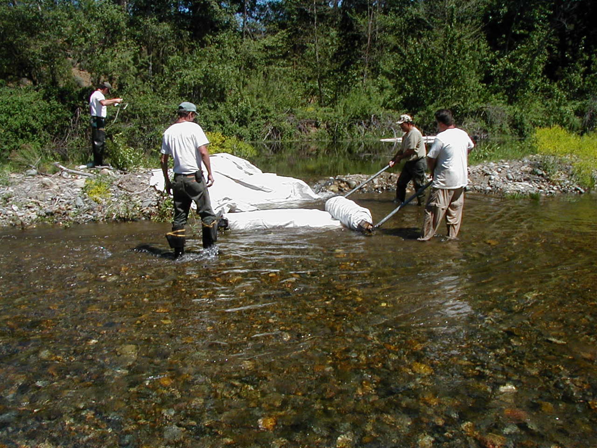 Siskiyou County, CA 2002