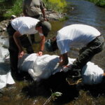 Siskiyou County, CA 2002