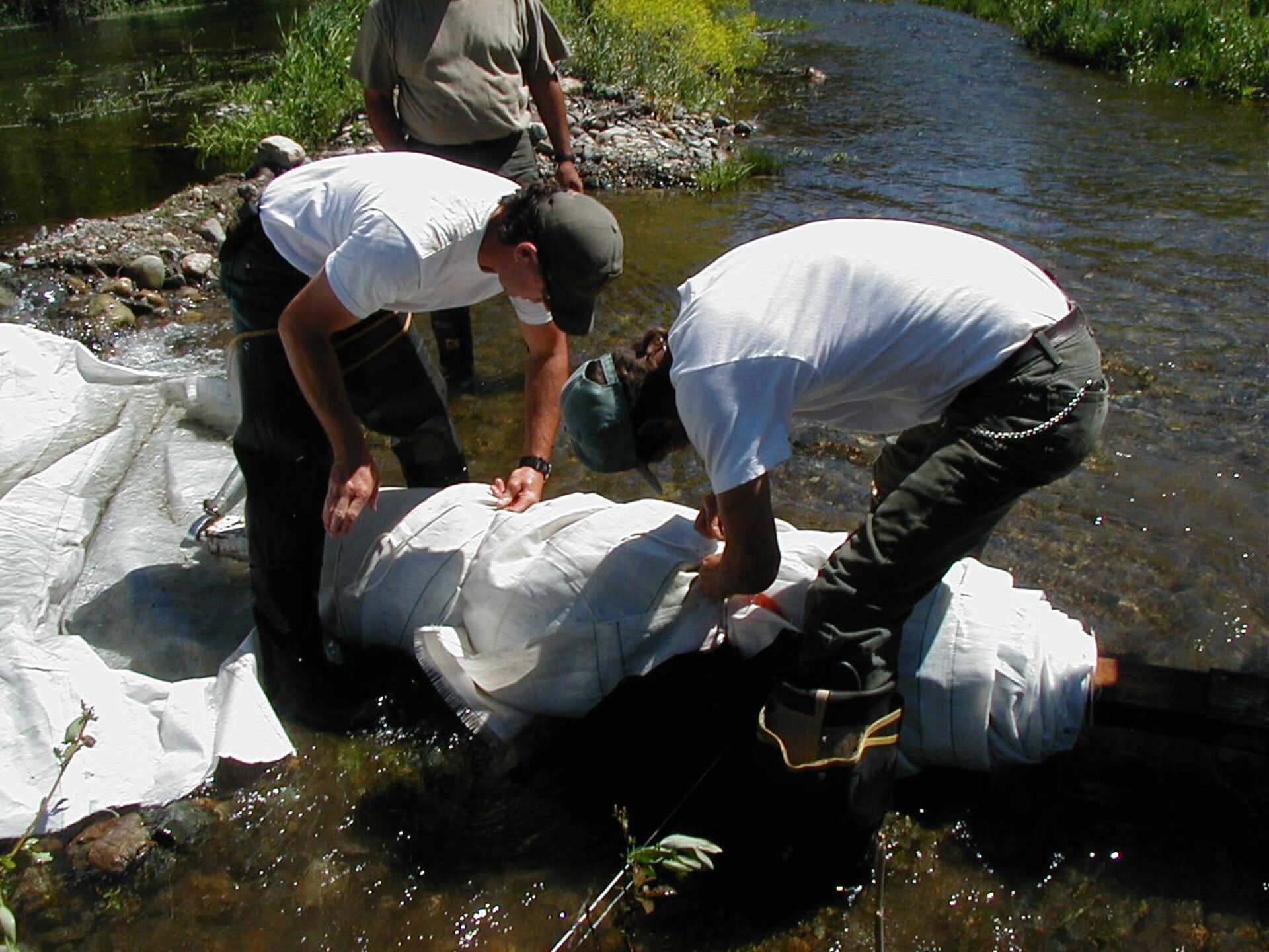 Siskiyou County, CA 2002