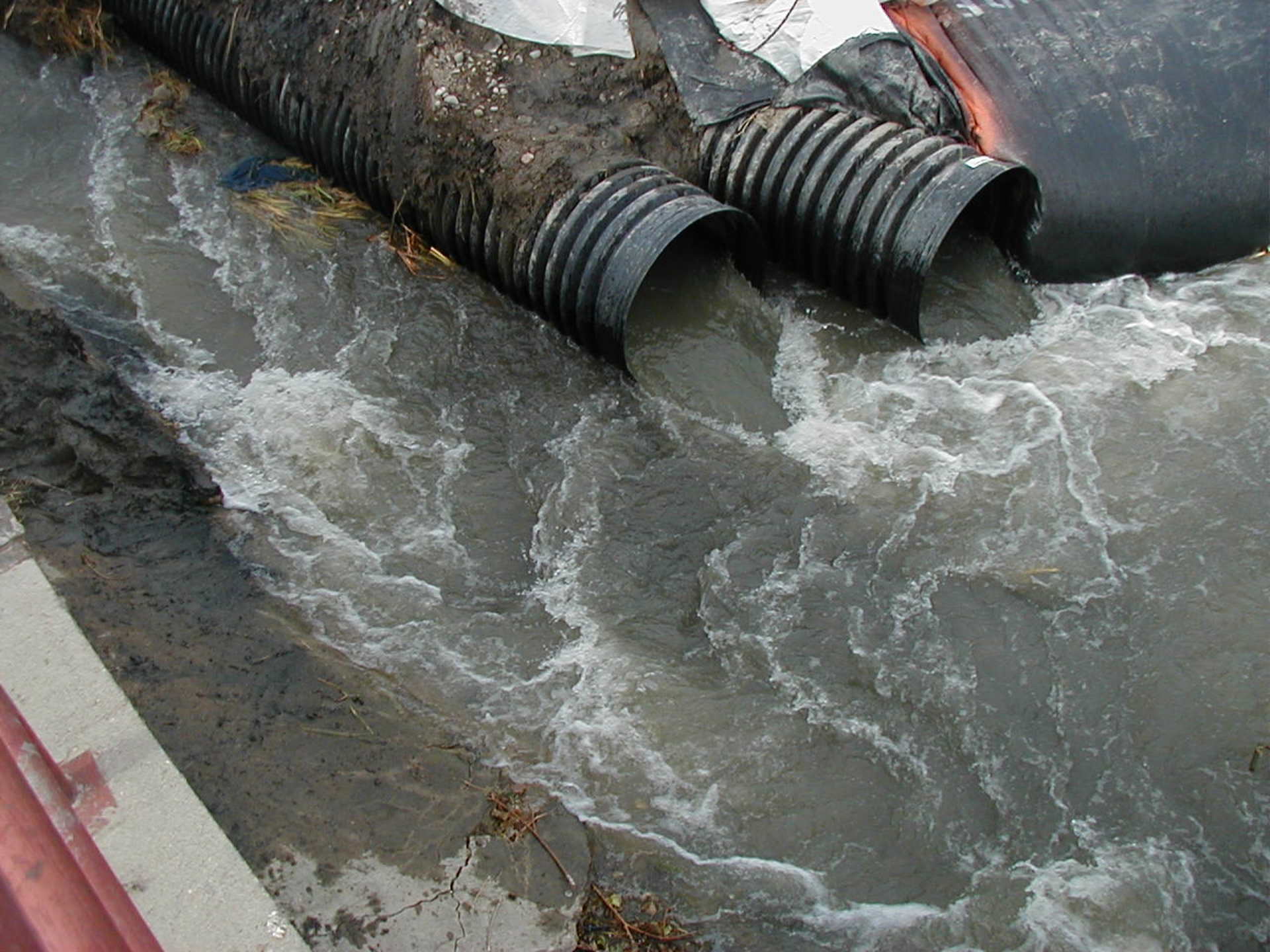 Pueblo, CO 2004