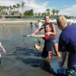 Goodyear, AZ 2003