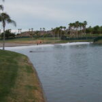 Goodyear, AZ 2003