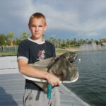 Goodyear, AZ 2003