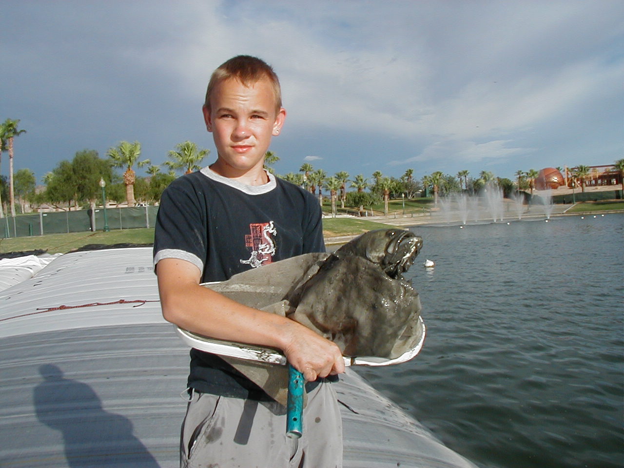 Goodyear, AZ 2003