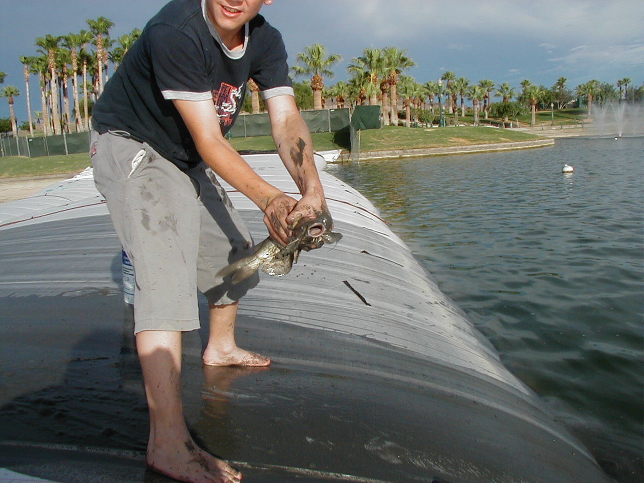 Goodyear, AZ 2003
