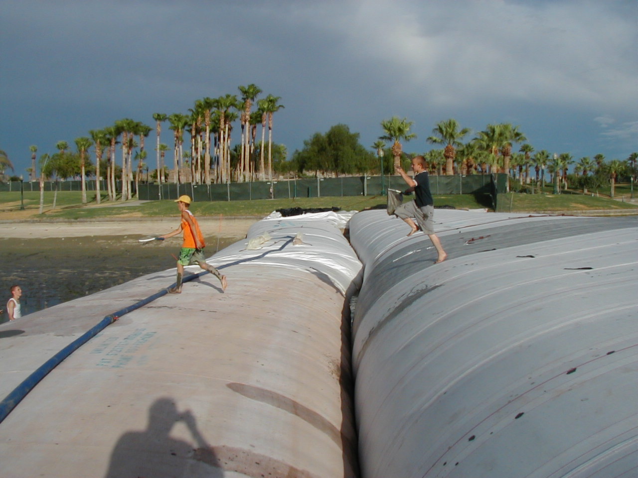Goodyear, AZ 2003