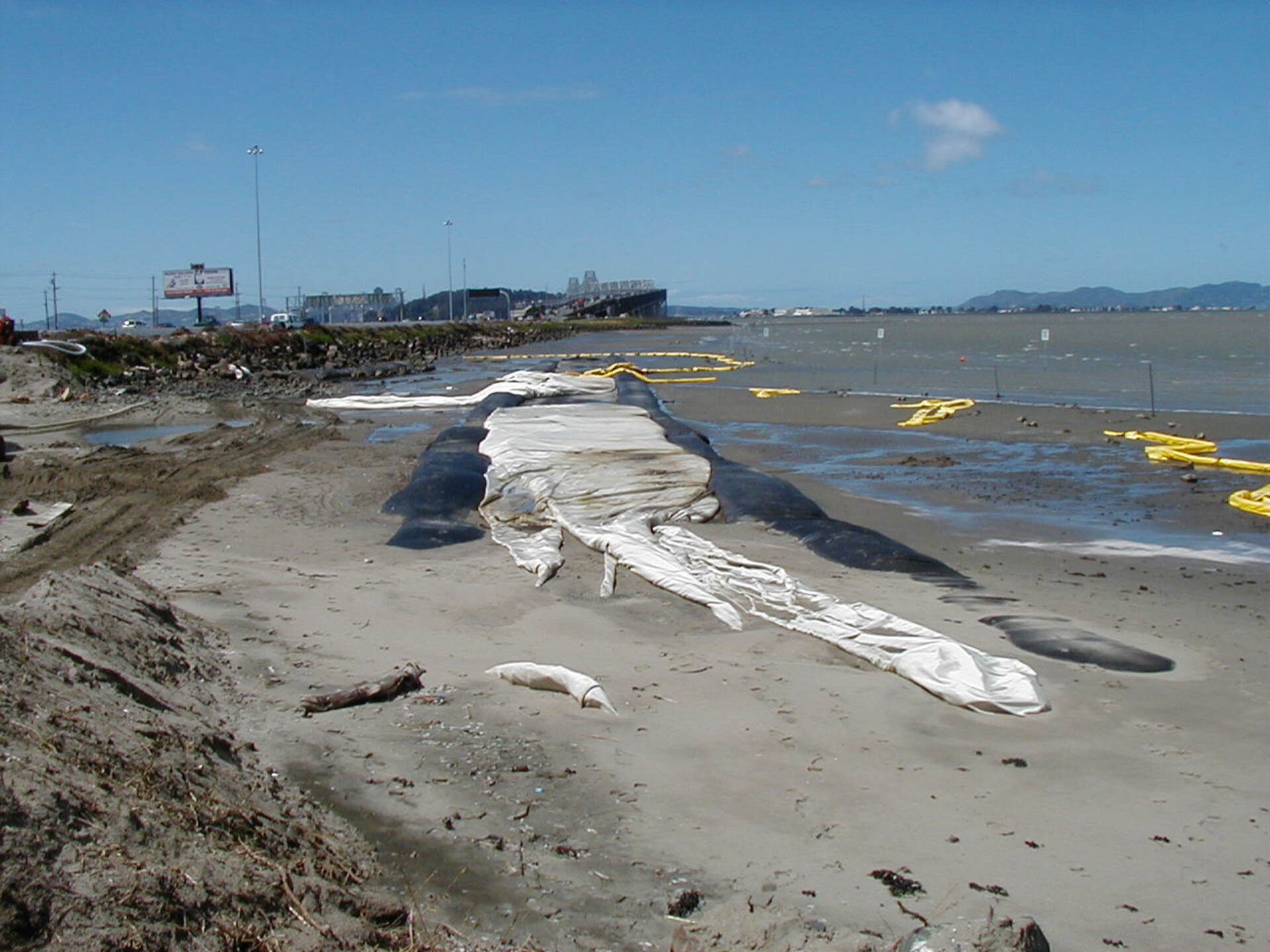 Oakland, CA 2002