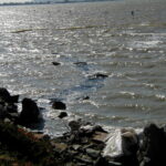 Oakland, CA 2002