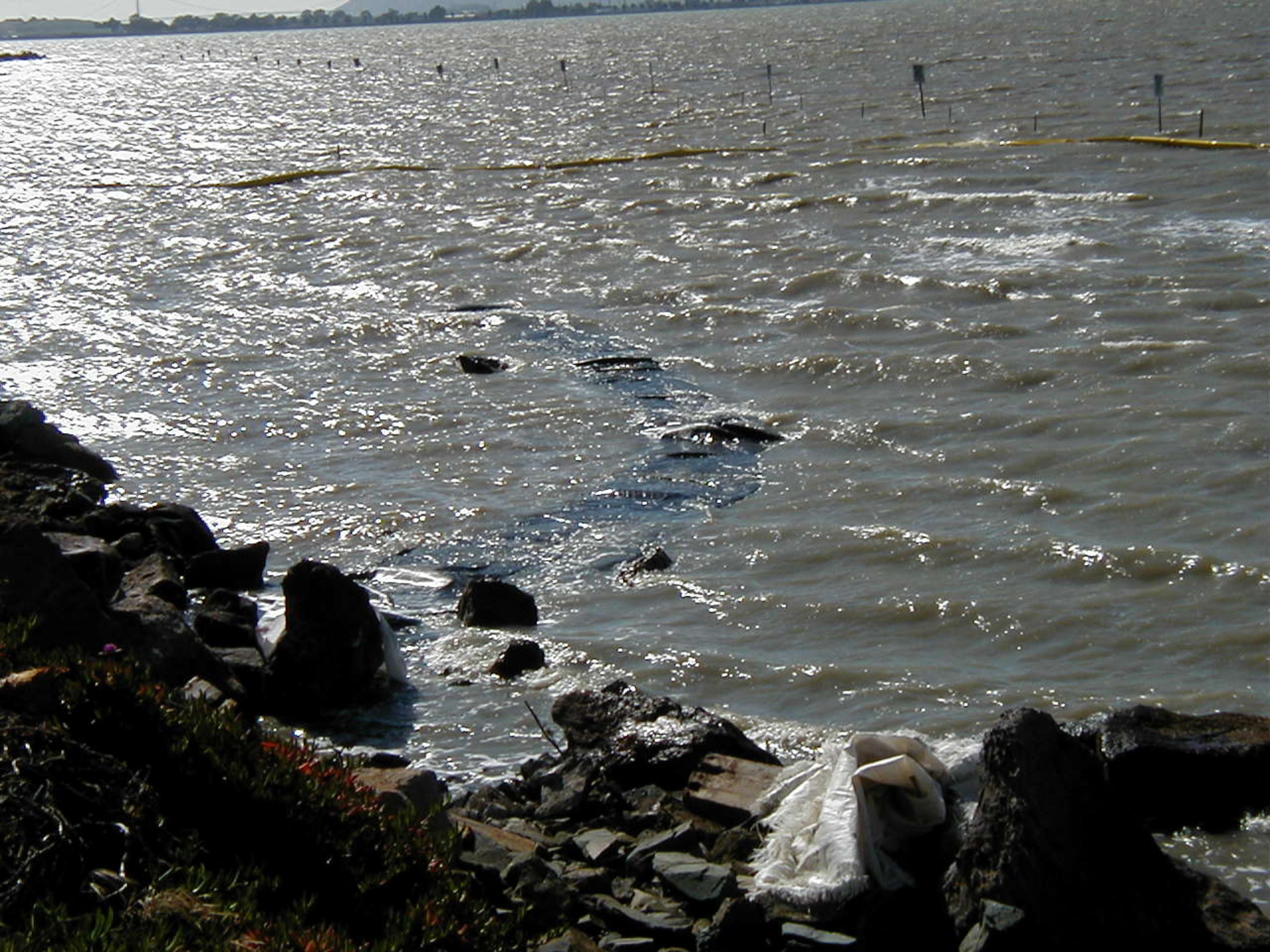 Oakland, CA 2002