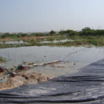 Southeast, Texas 2007