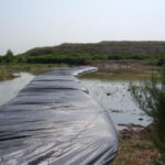 Southeast, Texas 2007