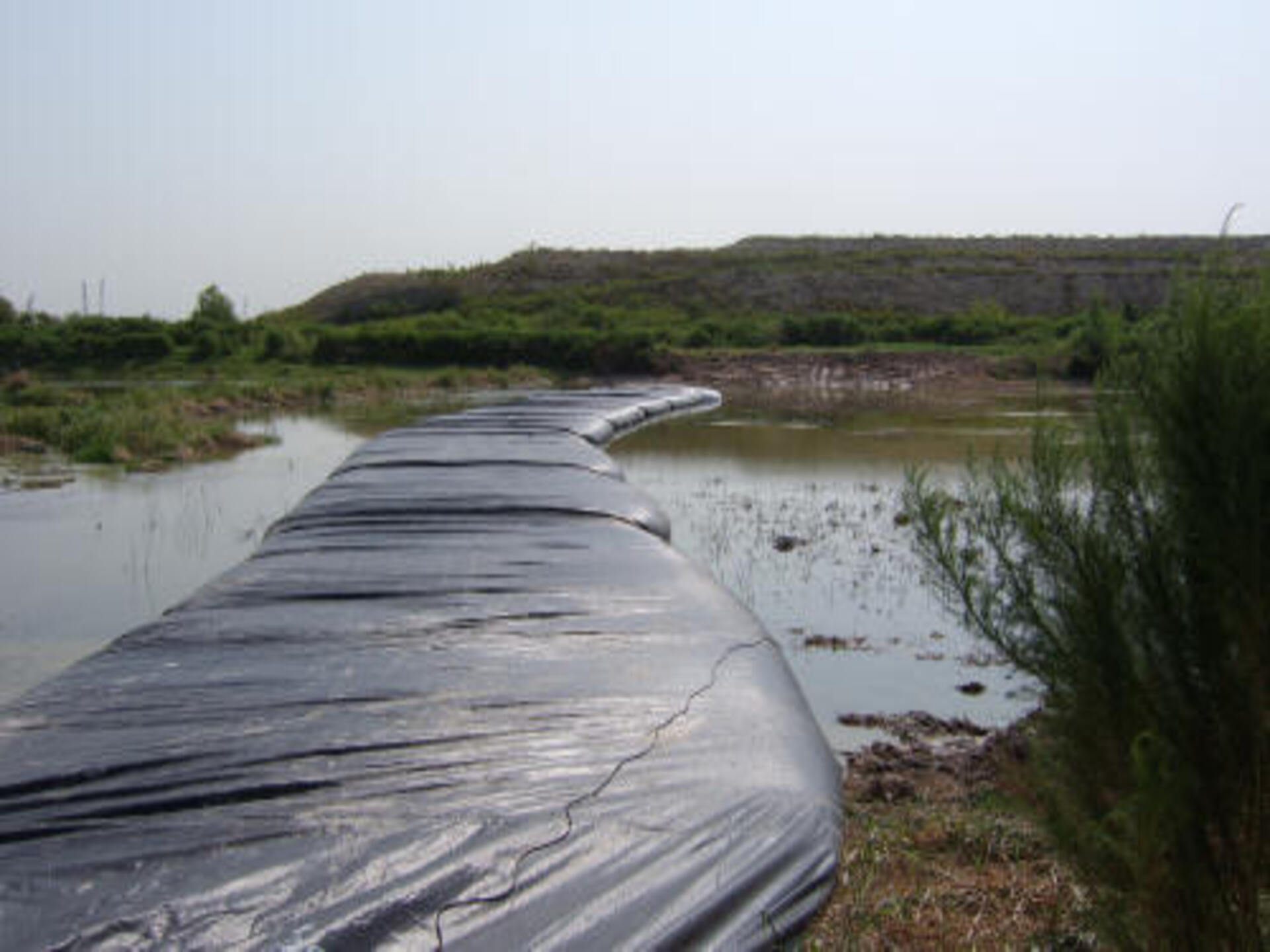 Southeast, Texas 2007