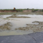 Southeast, Texas 2007