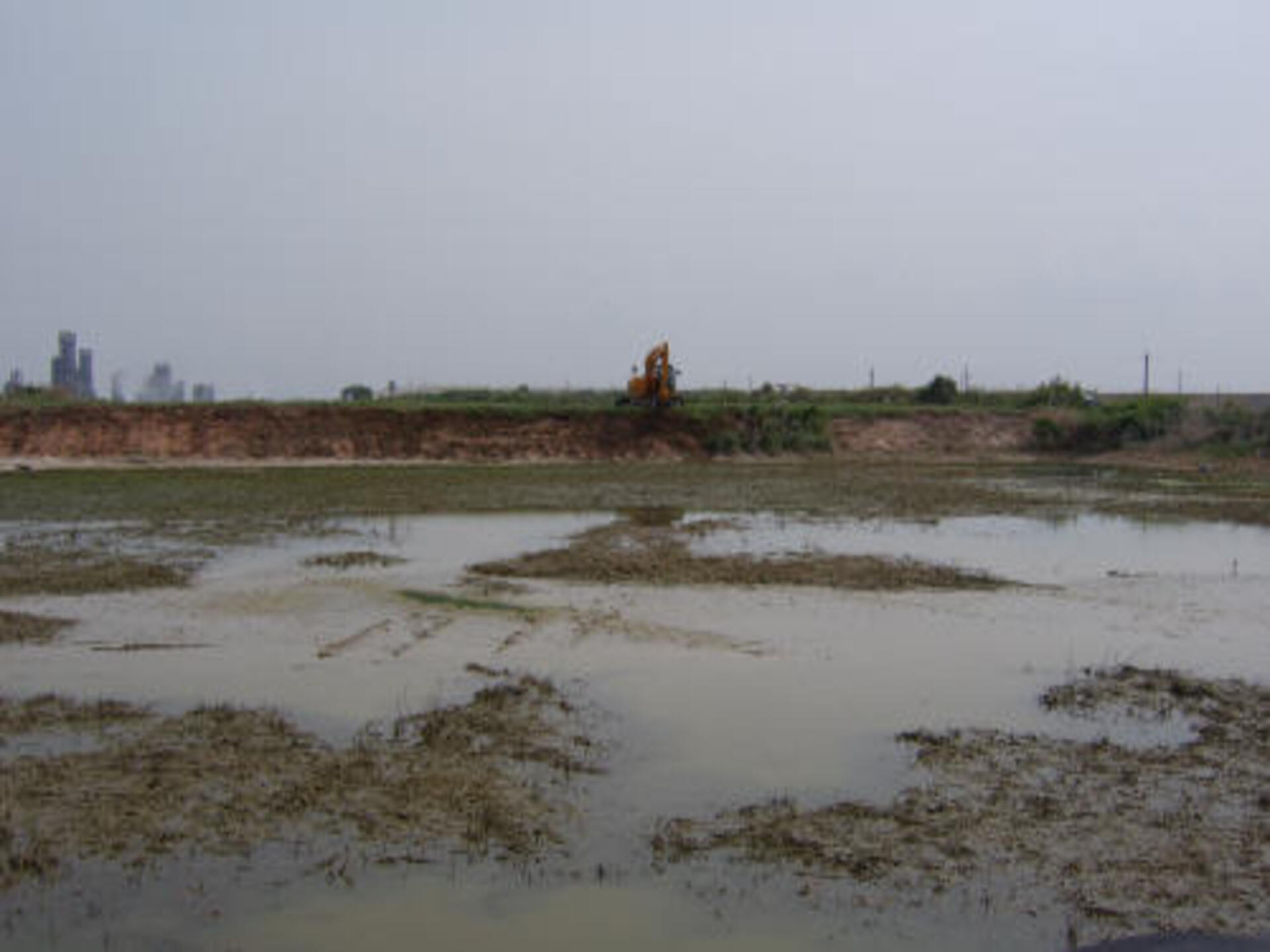 Southeast, Texas 2007