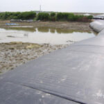 Southeast, Texas 2007