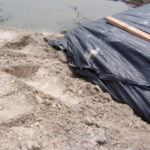 Southeast, Texas 2007