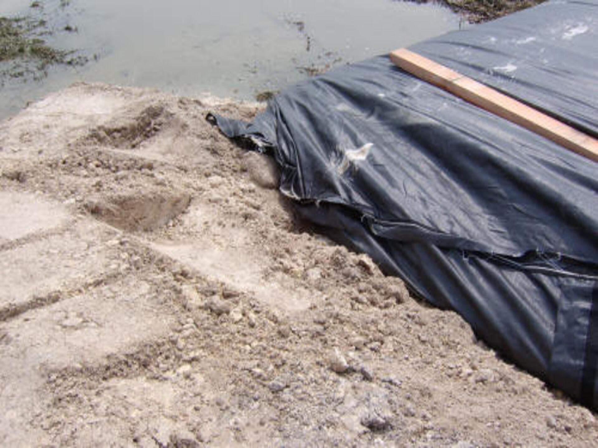 Southeast, Texas 2007