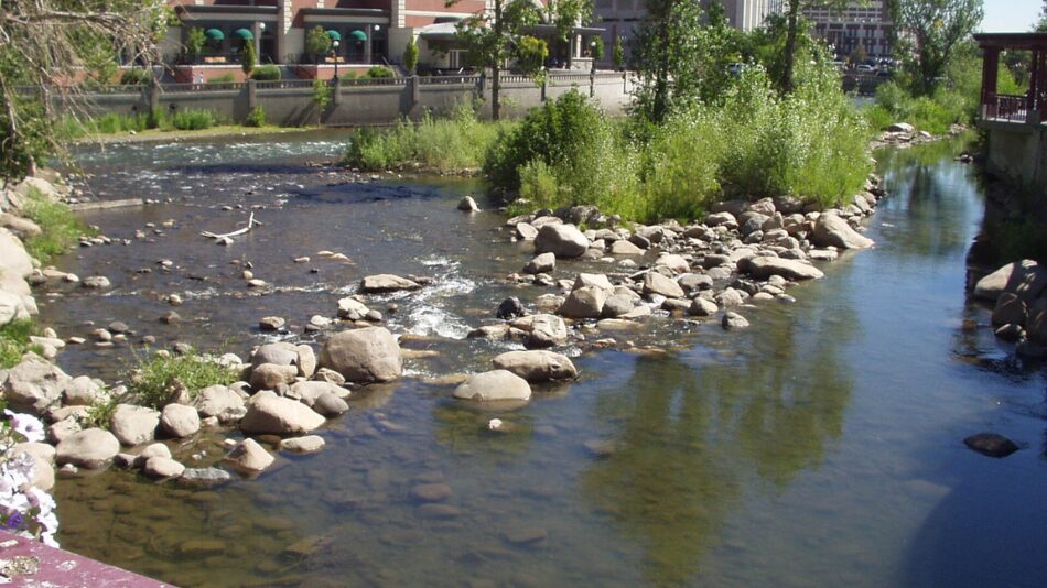 Reno, NV 2002
