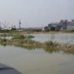 Southeast, Texas 2007